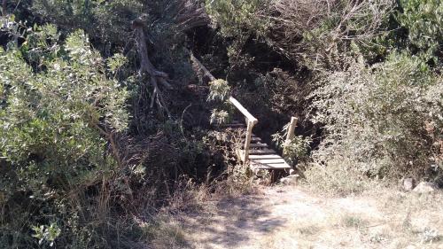 a wooden bench in the middle of a trail at Vila Renata in Playa Hermosa