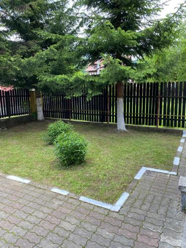 Gallery image of Vila Busteni DORA, locatie superba strada Grivitei 36 in Buşteni