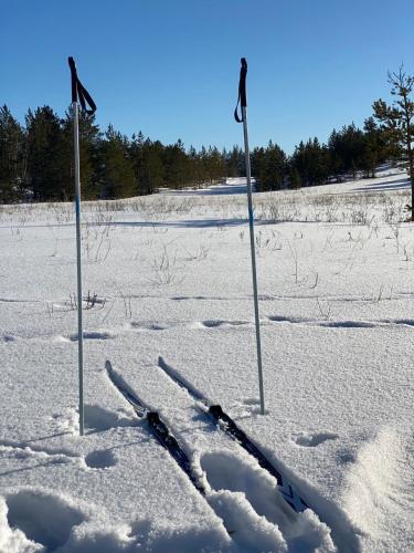 a pair of skis in the snow next to two flags at Opushka in Vorobʼyëvka