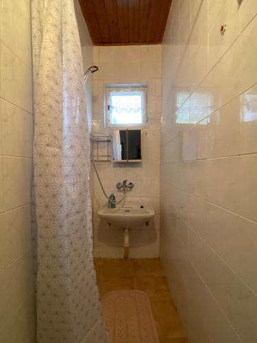 a small bathroom with a sink and a shower at Chaty Pod Javorovým in Třinec