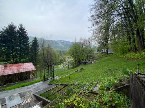 a view of a garden with a hill in the background at Chaty Pod Javorovým in Třinec