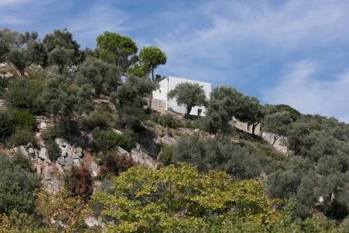 a white house on top of a hill with trees at house λ in Skiathos