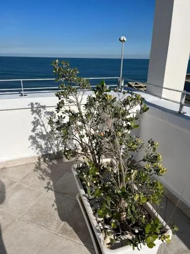 La Finestra Sul Mare photo 9
