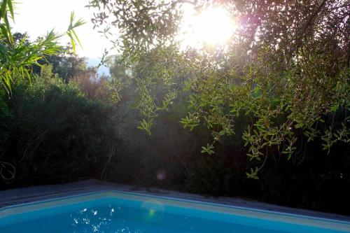 a swimming pool with the sun shining through the trees at Domus Sol Aria in Castiadas