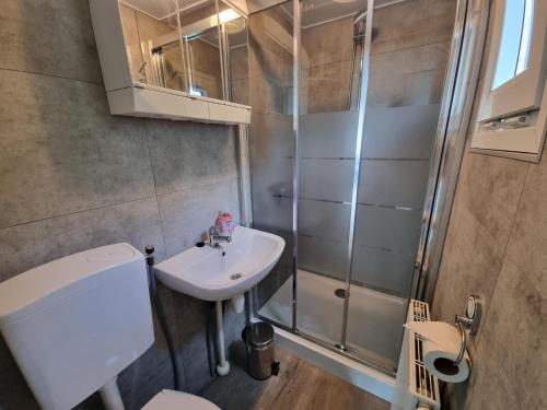 een badkamer met een douche, een wastafel en een toilet bij Chalet Texel DREaM nr. 17 op Chaletpark Bregkoog in De Koog