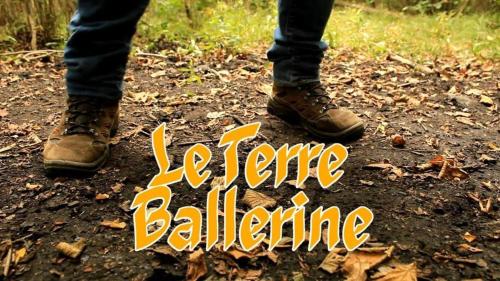 a person in boots standing on the ground with the words lecture balancing at IL DOLCE ULIVO casa vacanze in Cascinette