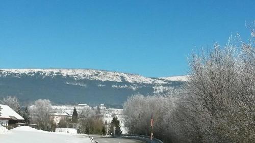 a snow covered mountain in the distance with a road at Ferienhaus Grobauer in Schwarzenberg am Bohmerwald