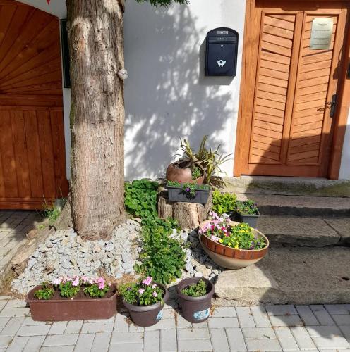 a group of potted plants sitting next to a tree at Soukromá rezidence Pohádková usedlost Lovětín in Lovětín