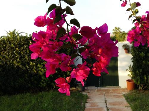 Zahrada ubytování Villa Lunas