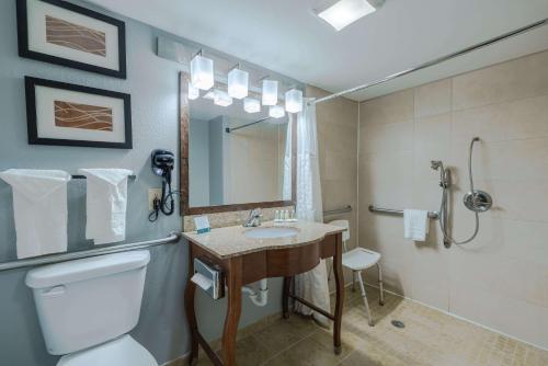 La salle de bains est pourvue de toilettes, d'un lavabo et d'une douche. dans l'établissement Quality Inn Olive Branch, à Olive Branch