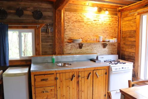 L’Anse-au-Griffon的住宿－格里芬艷遇木屋旅舍，小屋内的厨房配有炉灶和水槽