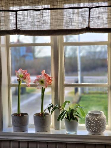 Gallery image of Ronehamn Bed and Breakfast in Hemse