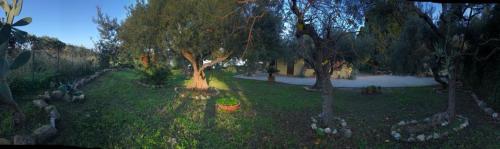Φυσικό τοπίο κοντά σε αυτό το διαμέρισμα