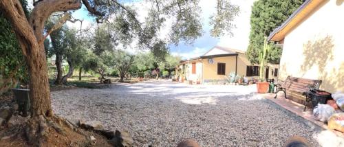 Κήπος έξω από το Bouganville in Villa Greco