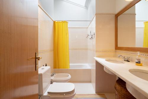 La salle de bains est pourvue de toilettes, d'un lavabo et d'une douche. dans l'établissement Casa de S. Paio - 3 bedroom villa w/ pool & garden, à Braga