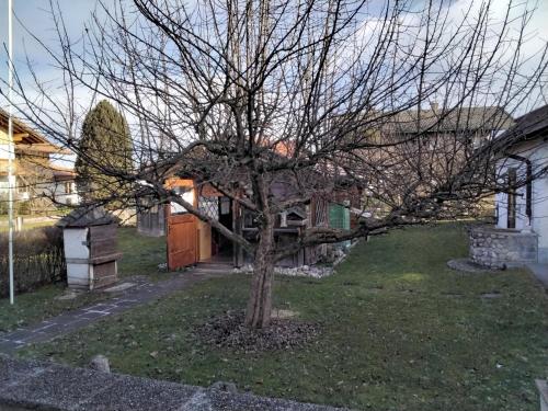 a tree in the yard of a house at Ferienwohnung Maxl in Fischbachau