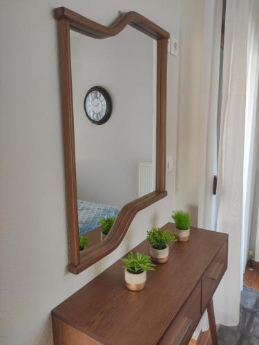 a mirror on a table with potted plants on it at Kashmir Luxury Apartments in Neos Marmaras