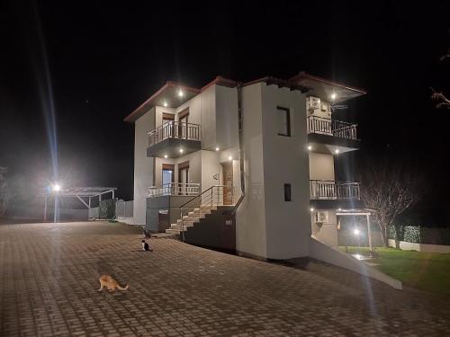 a dog laying in front of a building at night at Kashmir Luxury Apartments in Neos Marmaras
