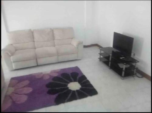 a living room with a couch and a television at Castle Comfort Villas in Roseau