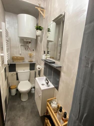une petite salle de bain avec toilettes et lavabo dans l'établissement Studio Coquet proche Gare, à Bourg-en-Bresse