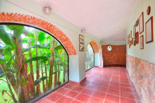 Κήπος έξω από το Holiday Home in Sicily near Fontane Bianche