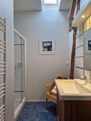 un baño con lavabo y ducha en Ferme d'Orsonville, en Villiers-en-Bière