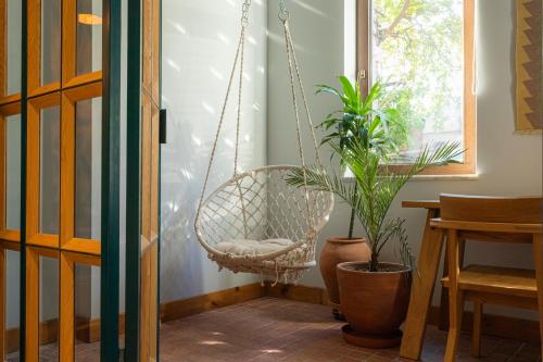 a swinging chair in a room with plants at Khedi Hotel Tbilisi in Tbilisi City