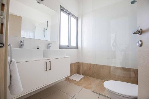 La salle de bains blanche est pourvue d'un lavabo et de toilettes. dans l'établissement Villa Trianta, à Neo Chorio