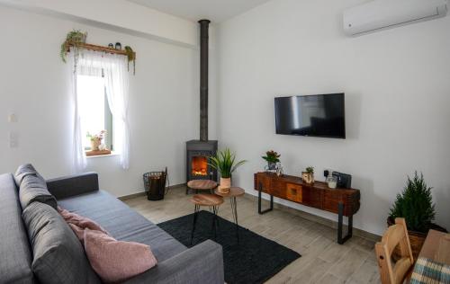 een woonkamer met een bank en een tv bij Anassa Mountain House in Émbonas