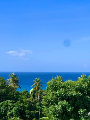 a view of the ocean through the trees at ORCHID RESORT Ltd in Guillet