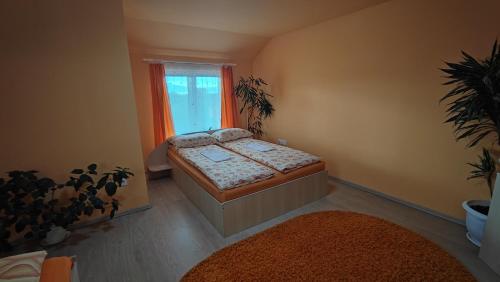 a small bedroom with a bed and a window at Gabriella vendégház in Lăzarea