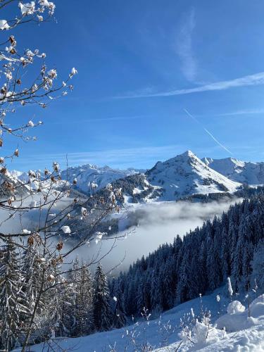 a view of a snow covered mountain with a lake at Hotel Rhodos Morzine in Morzine