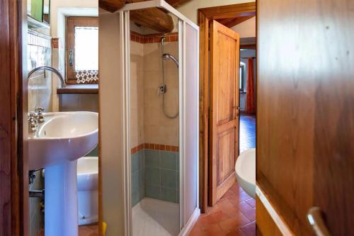 ein Bad mit einem Waschbecken, einer Dusche und einem WC in der Unterkunft Agriturismo con piscina in Toscana, Tribbiano in Arezzo