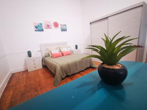 Katil atau katil-katil dalam bilik di Atlantis Surf Hostel