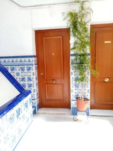 Barrio Macarena - Gardenia