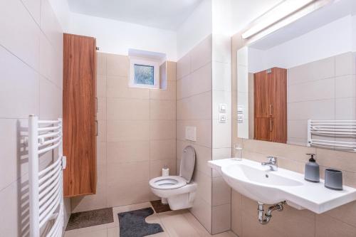 W łazience znajduje się umywalka, toaleta i lustro. w obiekcie Depandance MARNET Sněžník w mieście Dolní Morava