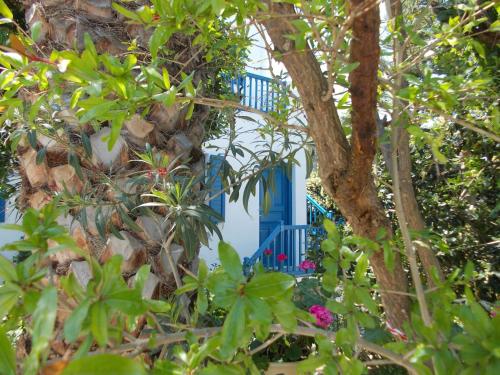 Un jardín fuera de Matina Hotel