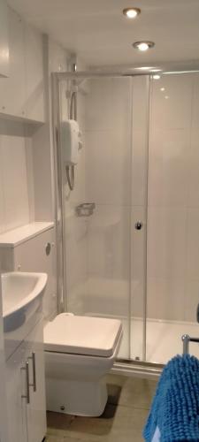uma casa de banho com um chuveiro, um WC e um lavatório. em 1 Bed flat in East Dulwich em Londres