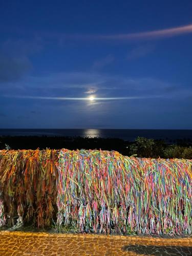 uma parede coberta de muitos cabelos coloridos em Odoyá Casa Hostel em Arraial d'Ajuda