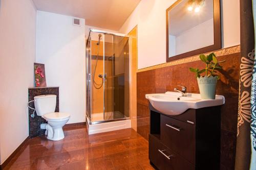 a bathroom with a sink and a toilet and a mirror at Willa Dunajec in Zakopane