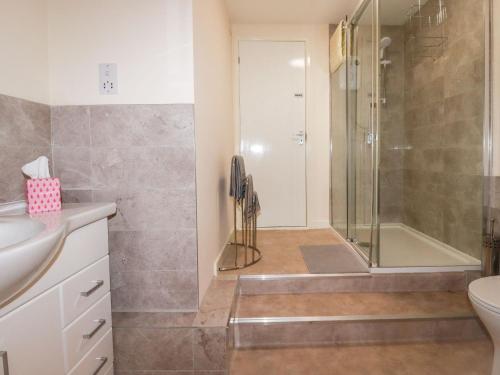 een badkamer met een douche, een toilet en een wastafel bij Falcon House in Tintagel