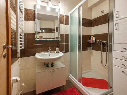 a bathroom with a sink and a shower at Apartman Cvejic - Suncani apartmani in Brzeće