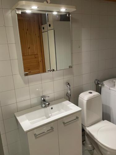 a bathroom with a toilet and a sink and a mirror at Panoraama 2 in Saariselka