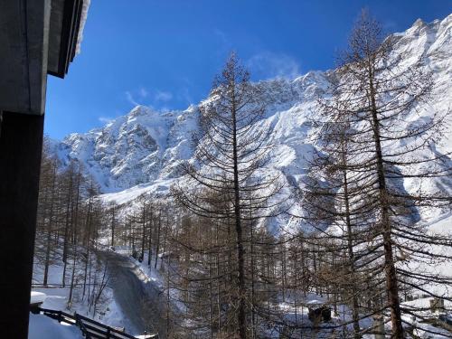 a snow covered mountain with trees in front of it at Appartamento + box a Cervinia con vista in Breuil-Cervinia