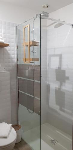 a glass shower in a bathroom with a toilet at Hôtel Terminus in Luz-Saint-Sauveur