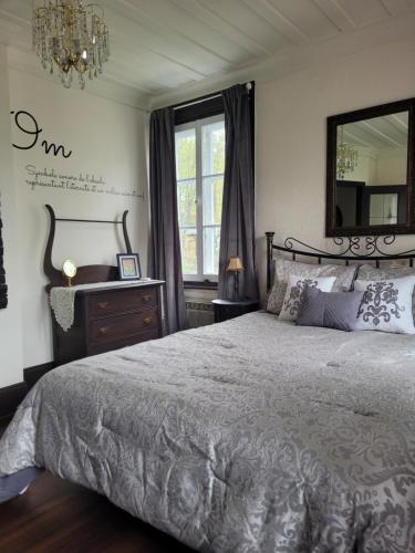 ein Schlafzimmer mit einem großen Bett und einem Spiegel in der Unterkunft Om Chalet 3 avec spa et accès au fleuve in Saint-Laurent-de-l'ile d'Orleans