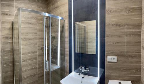 ein Bad mit einem Waschbecken, einer Dusche und einem Spiegel in der Unterkunft Good Night noclegi - wjazd do Bielsko Biała od Katowic droga E75 , S1 in Czechowice-Dziedzice