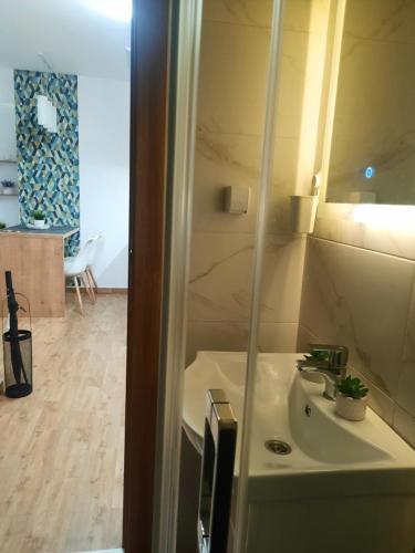 a bathroom with a sink and a mirror at Bankovic Apartman in Vrnjačka Banja