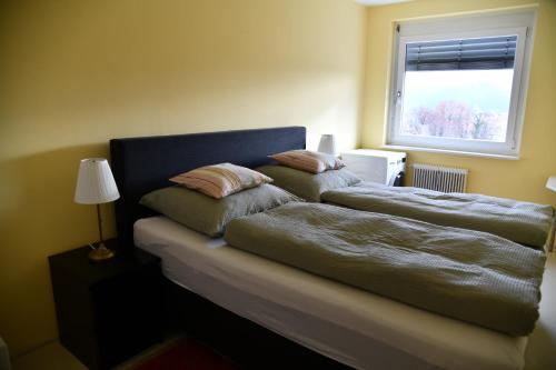 two beds in a room with a window at Downtown Klagenfurt Oasis in Klagenfurt