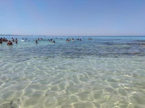 Appartamento da SaMi lido le conchiglie